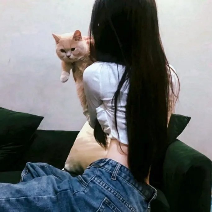 马里布救生队